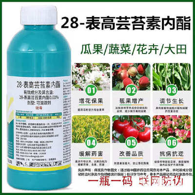 28表高芸苔素内酯 叶面肥中的保花保果专家与植物生长调节密码