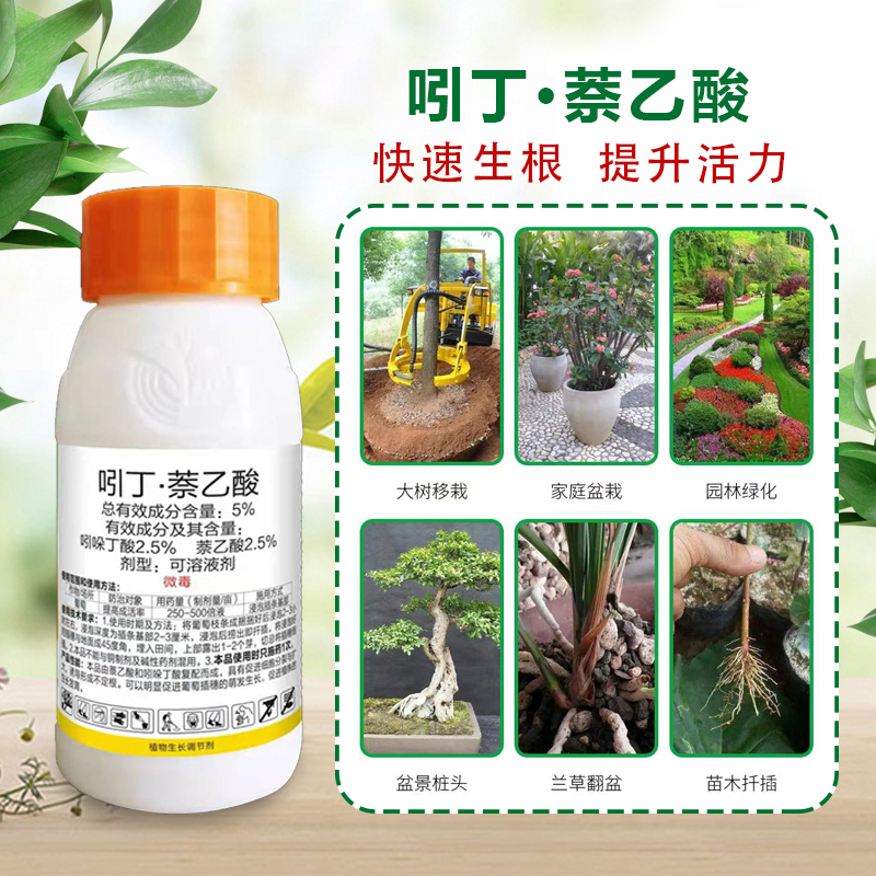 植物生长调节剂的多重妙用 从扦插成活到生长平衡的全面指南