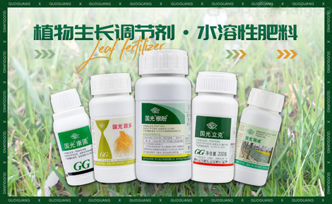 国光农化GUOGUANG品牌全方位解析 聚焦农药、叶面肥与植物生长调节剂