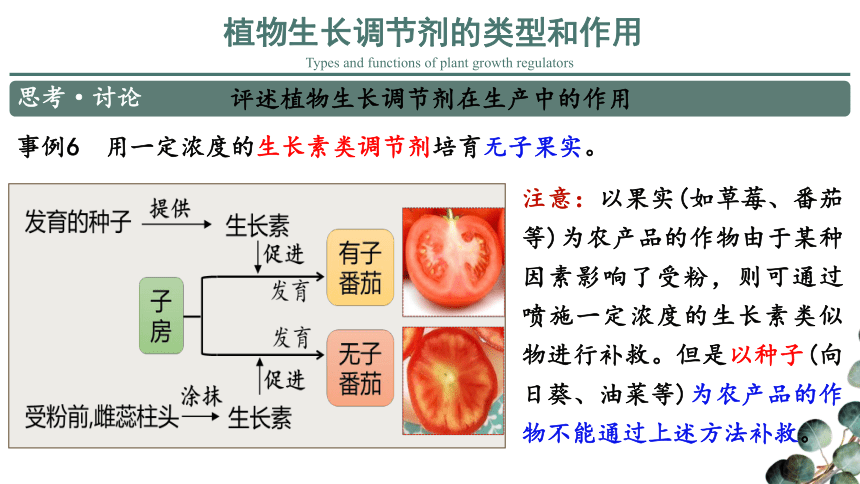 5.3 植物生长调节剂的应用――高中生物学（人教版2019）选择性必修一教学课件解读